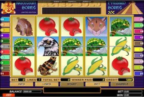 How to Find a Big Win in On line Slots