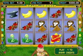 Crazy Monkey Slot online, free