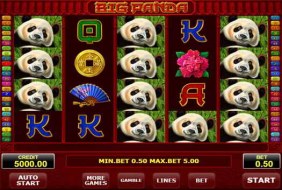 Panda Casino Machine