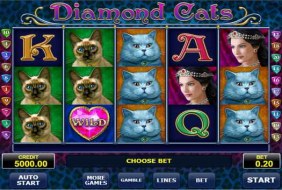 Diamond Cats