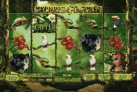 Secrets Of The Amazon