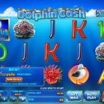 dolphin cash