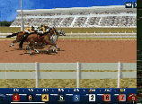 Horse Racing