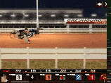 Greyhound Racing