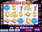 Flash Cash Slot