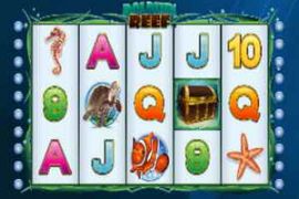 Dolphin Reef