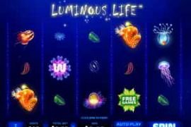 Luminous Life