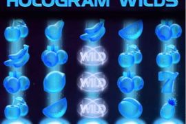 Hologram Wilds