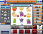 Fruit Machine