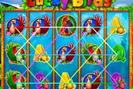 Lucky Birds
