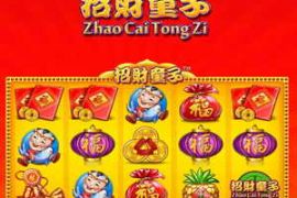 Zhao Cai Tong Zi