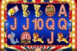 Crazy Circus
