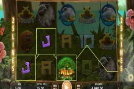 Primeval Rainforest